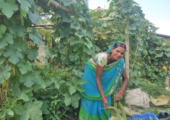 Jaso Devi with her fresh harvest