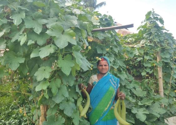 Jaso Devi with her fresh harvest 2