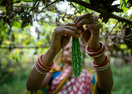 Photo: UN Women/Srijana Bhatta