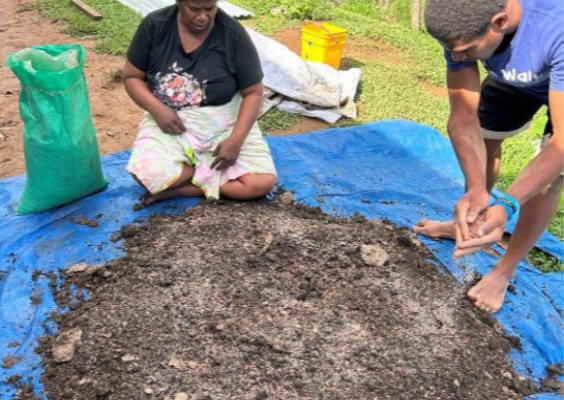 Matelita and son Aloesi mixing soil, poultary manure and NPK for nursery beds