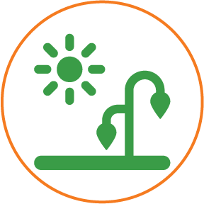 icon of drought 