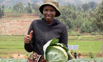 Rural woman farmer holding cabbage