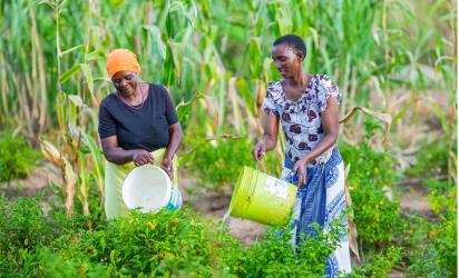 Two women watering crops
