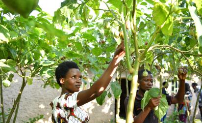  Photo: UN Women Rwanda