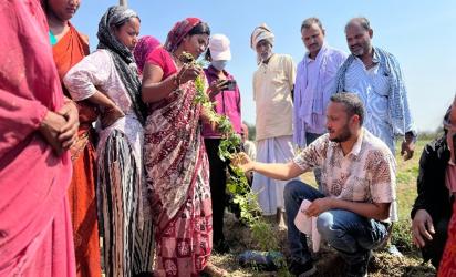 Agriculture expert provides Three G cutting training 