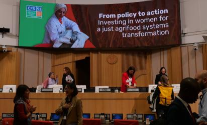 FAO meeting room with the banner of the side event: From policy to action