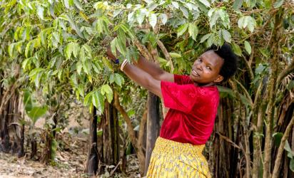 Akimana Angelique, cooperative president and community leader, in Munini Sector. FAO Rwanda/Christian Ngabonziza