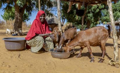 programm participant with goats