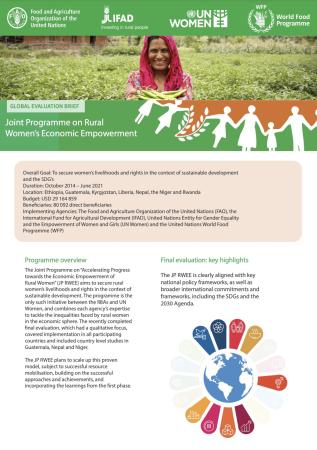 Front cover of JP RWEE Final Evaluation (2014-2020) (summary)