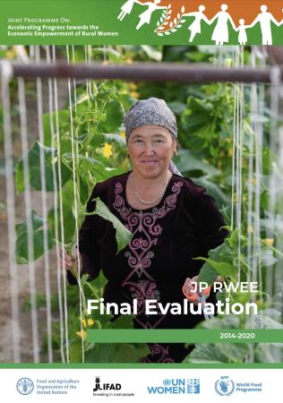Front cover of JP RWEE Final Evaluation (2014-2020) (full)