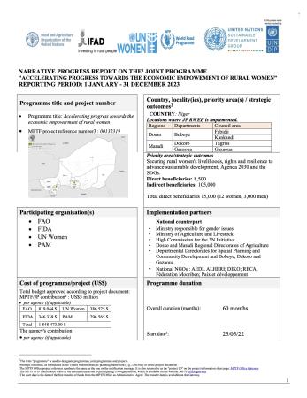 Screen shot of the front page of the 2023 Niger Annual Report.