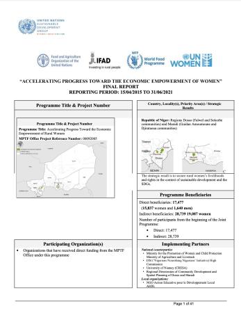 Front cover of Niger Final Report