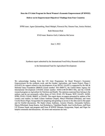 Front cover of WEAI Synthesis Report (full)
