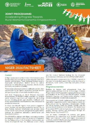 Niger factsheet 2026 cover page