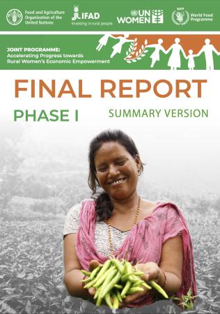 Front cover of JP RWEE Phase One Final Report (summary)