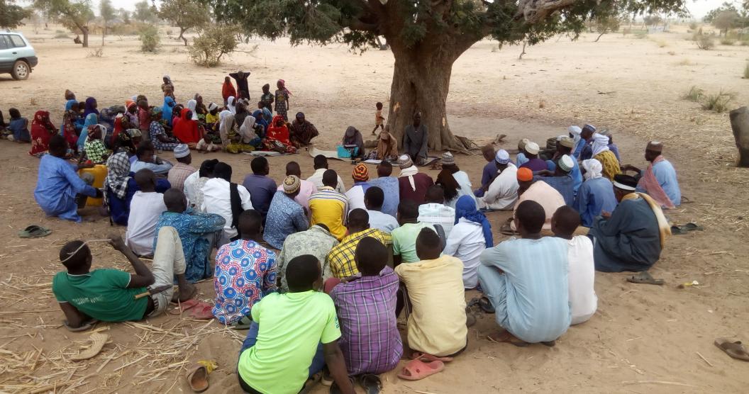 A group of women and men sit beneath a large tree
