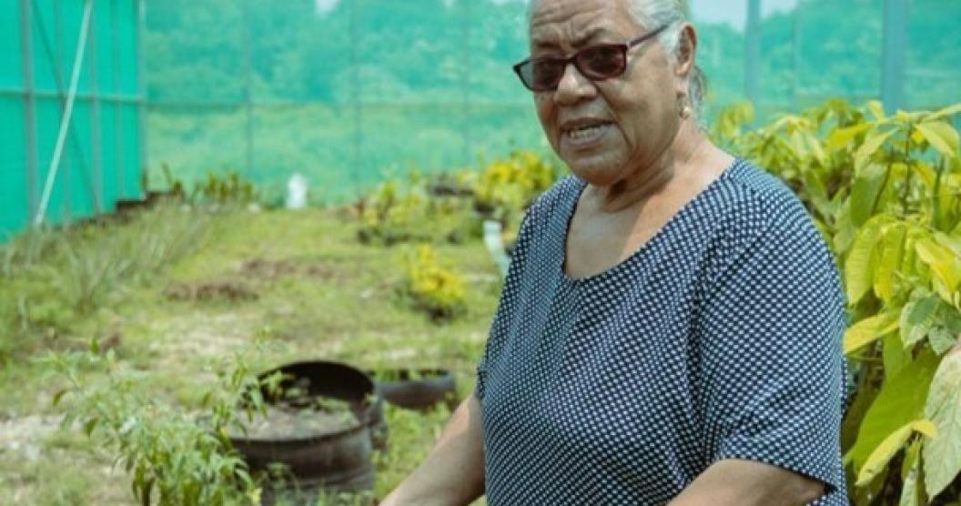 Anaika inside the Green house showing her vegetable garden. Photo : Morgan Puli'uvea/JP RWEE Tonga